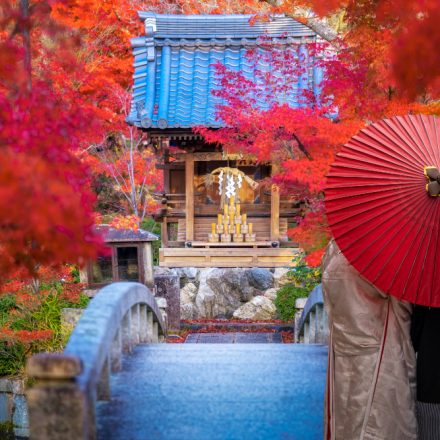 Descoperă Kyoto: O Călătorie în Timp prin Tradiții și Frumusețe Japoneze
