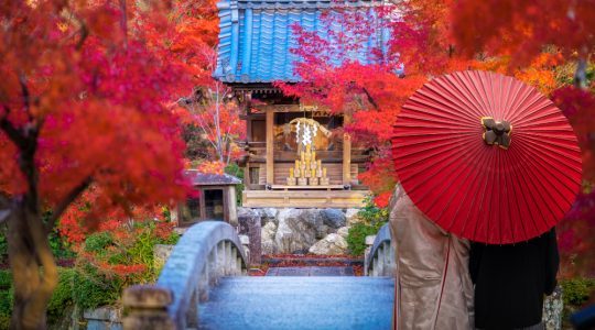 Descoperă Kyoto: O Călătorie în Timp prin Tradiții și Frumusețe Japoneze