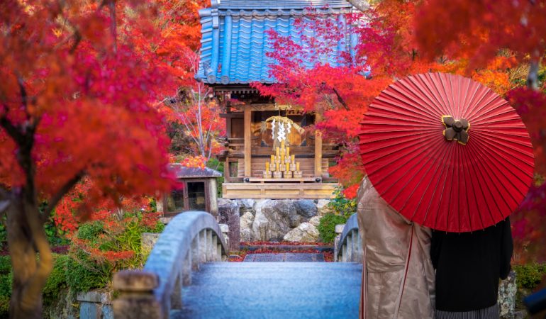 Descoperă Kyoto: O Călătorie în Timp prin Tradiții și Frumusețe Japoneze
