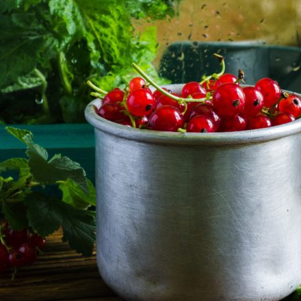 Cultivarea roșiilor cherry în ghiveci: Sfaturi de top