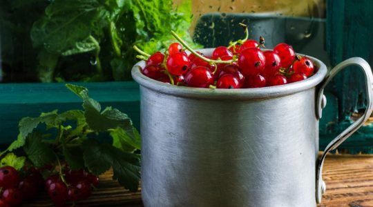 Cultivarea roșiilor cherry în ghiveci: Sfaturi de top