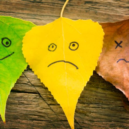 Exemple de sentimente: cum să recunoaștem și să exprimăm emoțiile