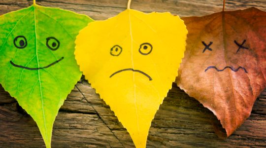 Exemple de sentimente: cum să recunoaștem și să exprimăm emoțiile