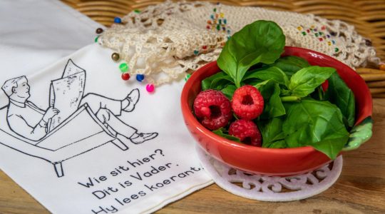 Ghid pentru prepararea meselor rapide și sănătoase vegetariene