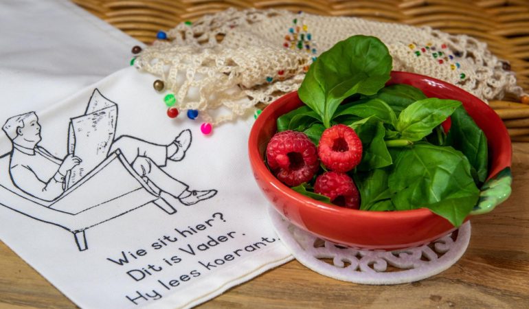 Ghid pentru prepararea meselor rapide și sănătoase vegetariene