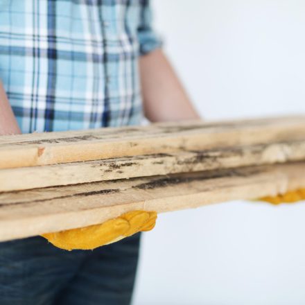 Cele mai eficiente metode de a păstra mobilierul din lemn în stare perfectă