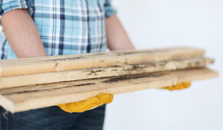 Cele mai eficiente metode de a păstra mobilierul din lemn în stare perfectă