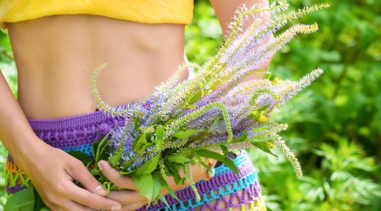 Nalba mare: Planta medicinală pentru sănătatea gâtului și plămânilor
