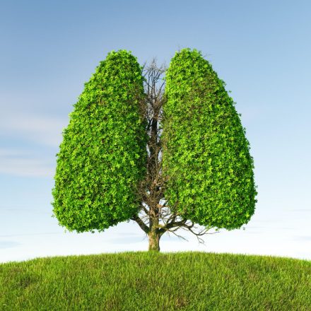 Descoperă beneficiile hreanului pentru sănătatea respiratorie