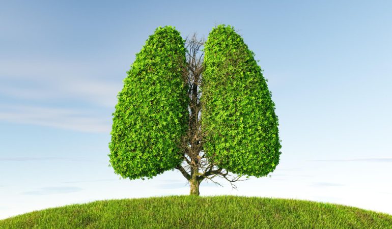 Descoperă beneficiile hreanului pentru sănătatea respiratorie
