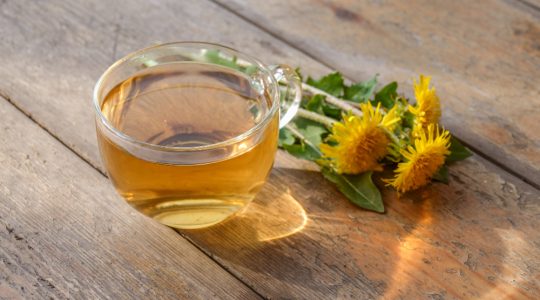 De la detoxifiere la contraindicații: Totul despre ceaiul de păpădie