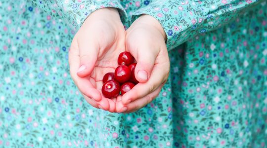 Caisa: Fructul care îți oferă energie și protecție antioxidantă