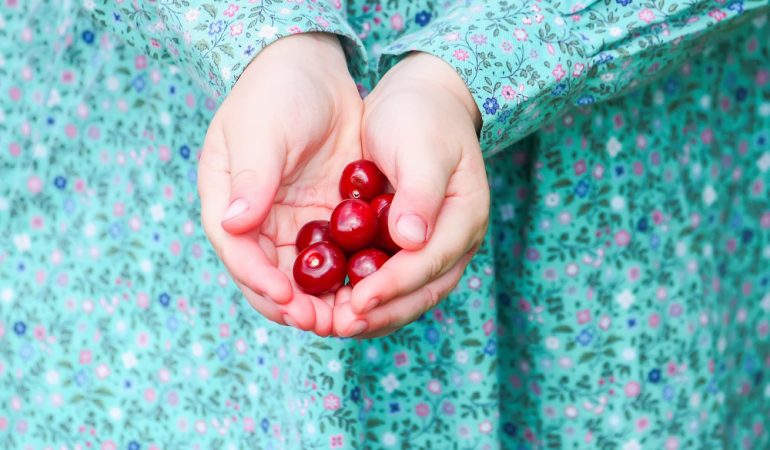 Caisa: Fructul care îți oferă energie și protecție antioxidantă