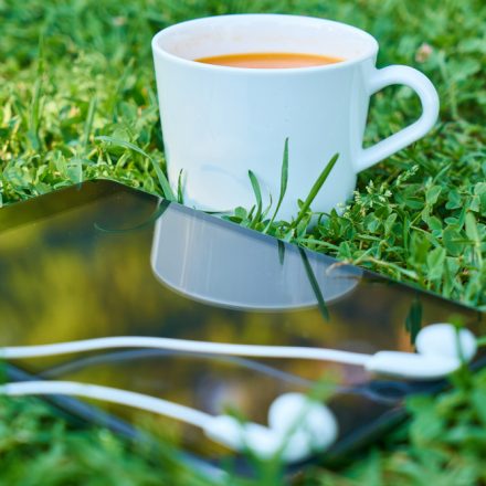 Tehnologia eco-friendly și gadgeturile inteligente sustenabile