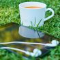 Tehnologia eco-friendly și gadgeturile inteligente sustenabile