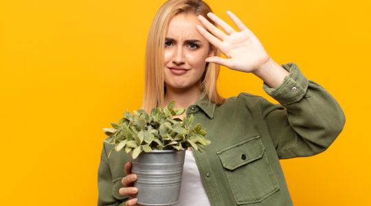 5 sfaturi pentru a adopta un stil de viață eco-friendly în fiecare zi