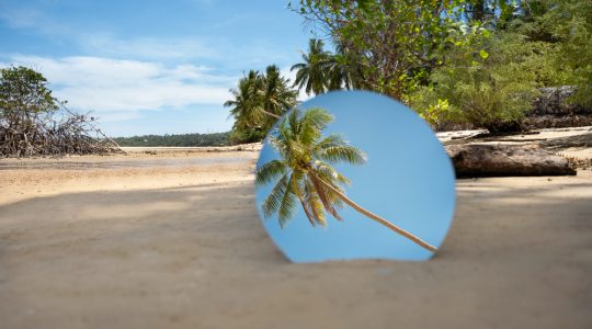 Barbados: insula tropicală ce merită explorată lent