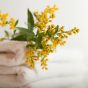 Florile de salcâm: beneficii pentru digestie și relaxare