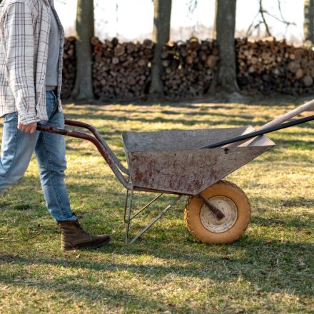 Rotație de culturi rapide în răsadniță încălzită electric