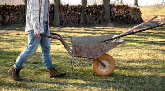 Rotație de culturi rapide în răsadniță încălzită electric